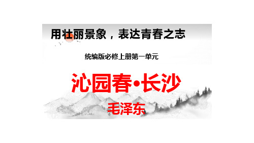 1.《沁园春长沙》课件2024-2025学年统编版高中语文必修上册(2)