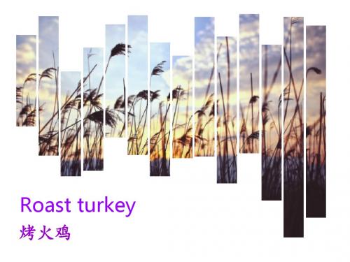 Roast turkey