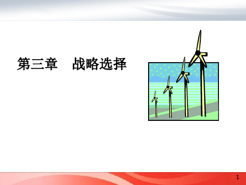 战略选择培训课件(PPT 61页)