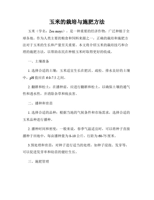 玉米的栽培与施肥方法