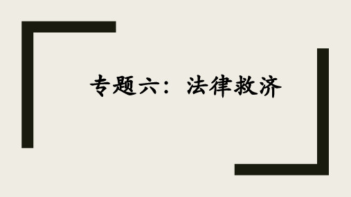 高中政治人教版选修五生活中的法律常识 专题六 法律救济 课件