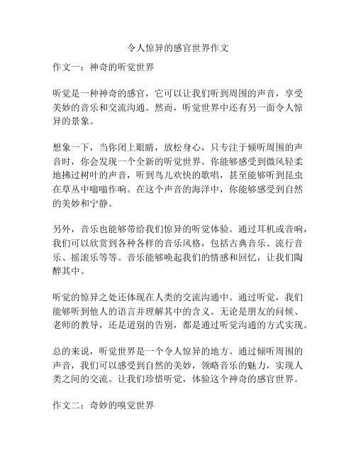 令人惊异的感官世界作文