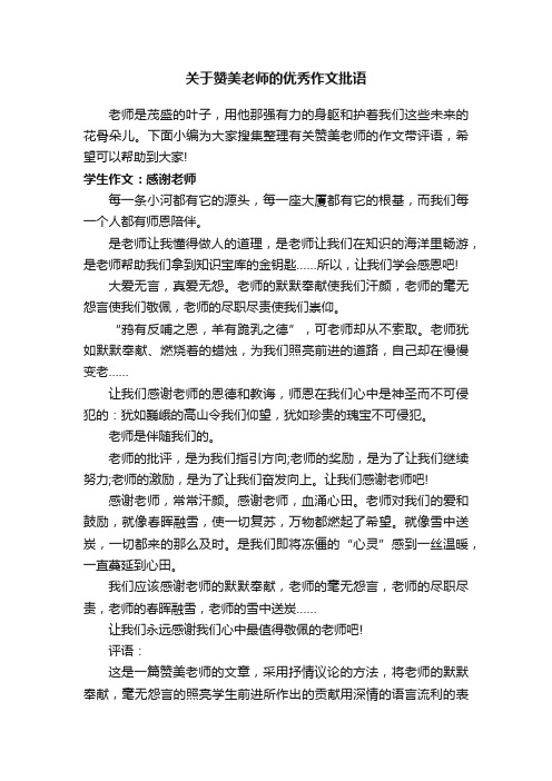 关于赞美老师的优秀作文批语