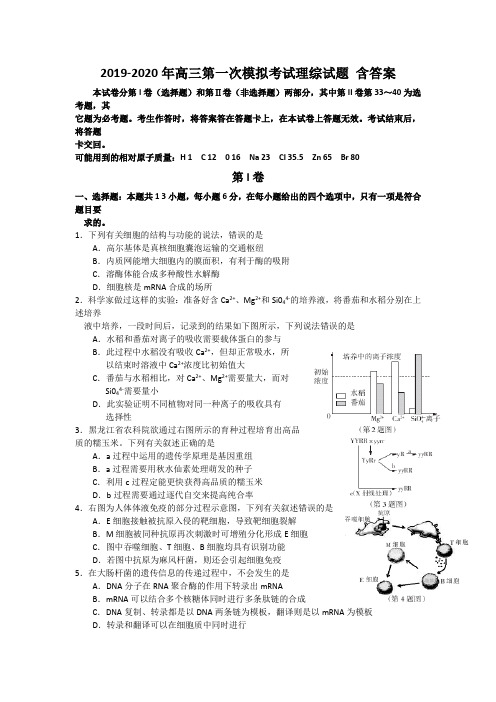 2019-2020年高三第一次模拟考试理综试题 含答案