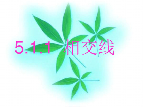 七年级数学相交线3