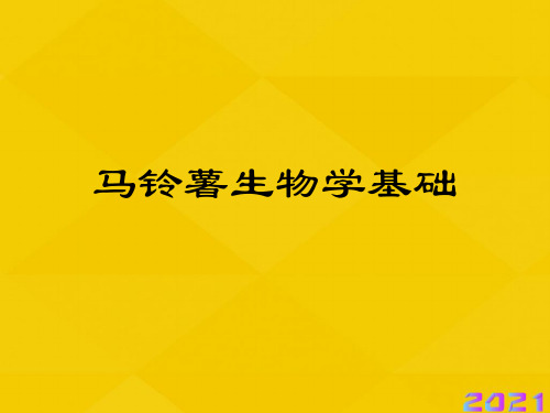 马铃薯生物学基础优秀文档