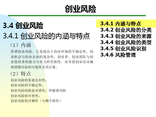 创业学-风险识别