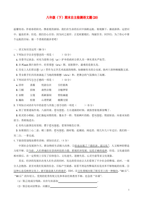 四川省宜宾市八年级语文下学期期末自主检测试题(28)