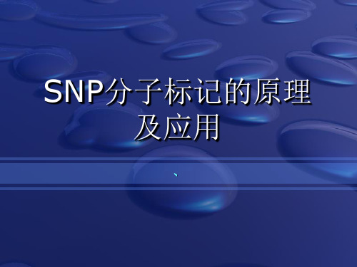 SNP分子标记的原理及应用解读