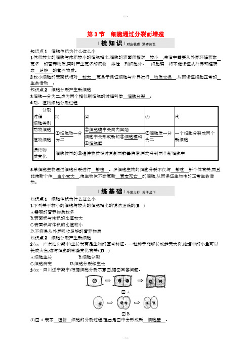 七年级生物上册 3.3 细胞通过分裂而增殖练习 (新版)北师大版