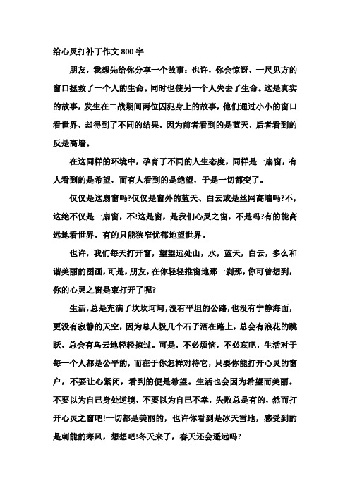 给心灵打补丁作文800字