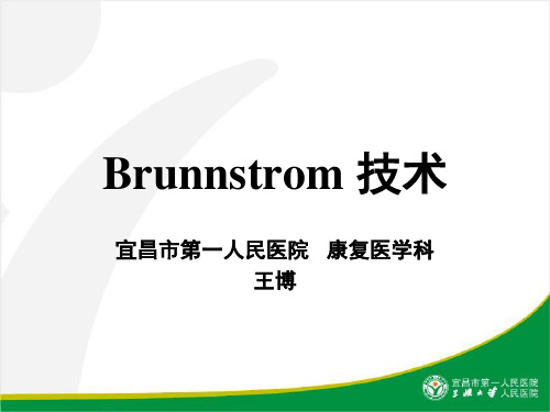 Brunnstrom_技术