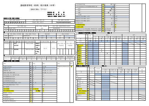 基础教育学校中学年报表