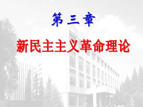 毛概