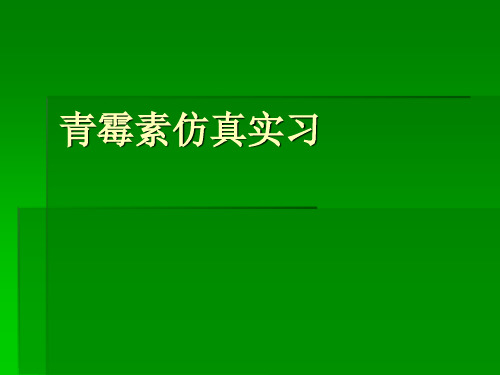 青霉素仿真实习