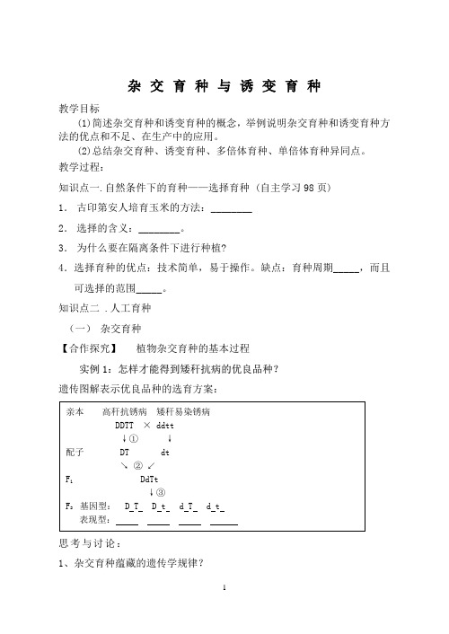 第六章_第一节杂交育种与诱变育种导学案