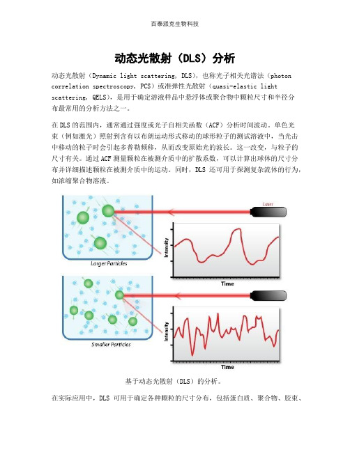 动态光散射(DLS)分析