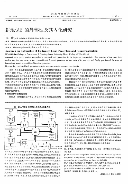 耕地保护的外部性及其内化研究