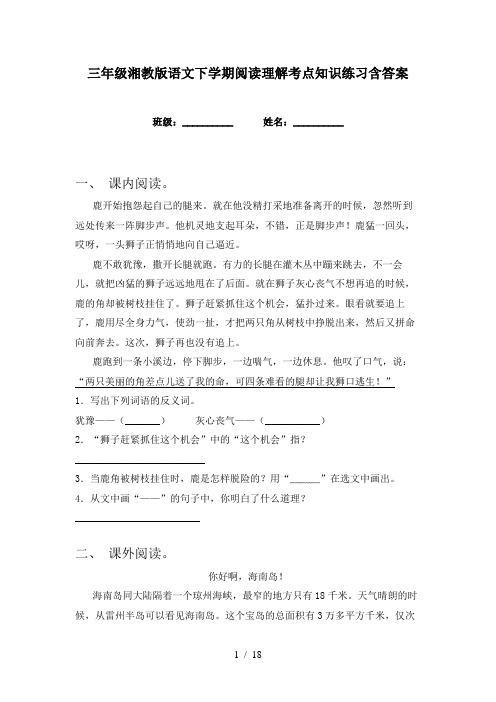 三年级湘教版语文下学期阅读理解考点知识练习含答案