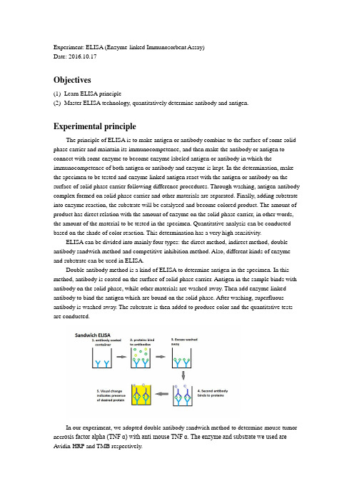 ELISA实验报告