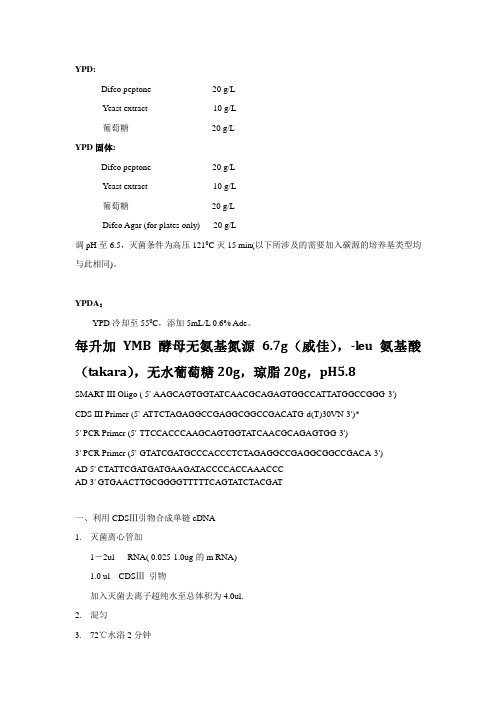 酵母双杂相关步骤