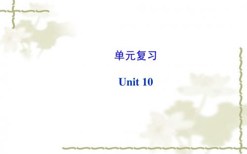 2014秋新目标英语八年级上册单元复习课件：unit 10 单元复习