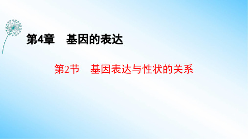 4-2 基因表达与性状的关系