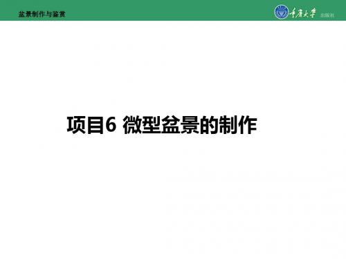 盆景制作与鉴赏项目6 微型盆景的制作-PPT文档资料