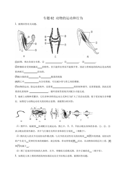 专题02动物的运动和行为(综合题20道)(原卷版)