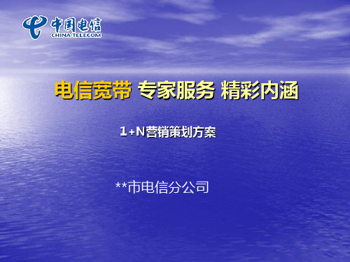 电信宽带专家服务精彩内涵1+N营销策划方案