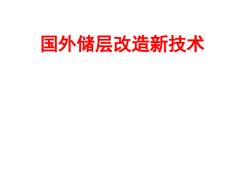 国外储层改造新技术  ppt课件