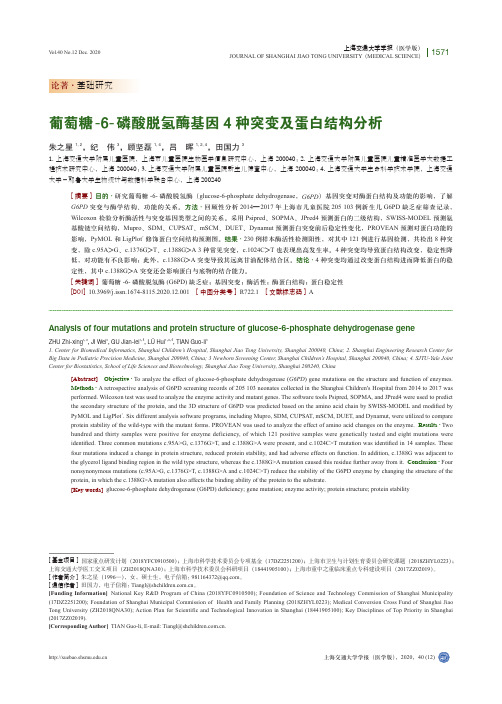 葡萄糖-6-磷酸脱氢酶基因4种突变及蛋白结构分析