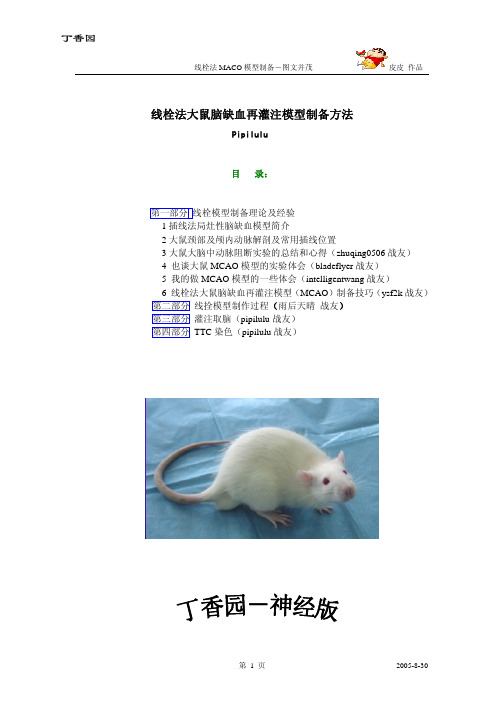 线栓法大鼠脑缺血再灌注模型制备方法-图文并茂