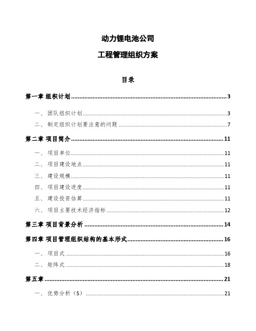 动力锂电池公司工程管理组织方案