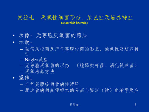 实验 厌氧性细菌形态.染色性及培养特性