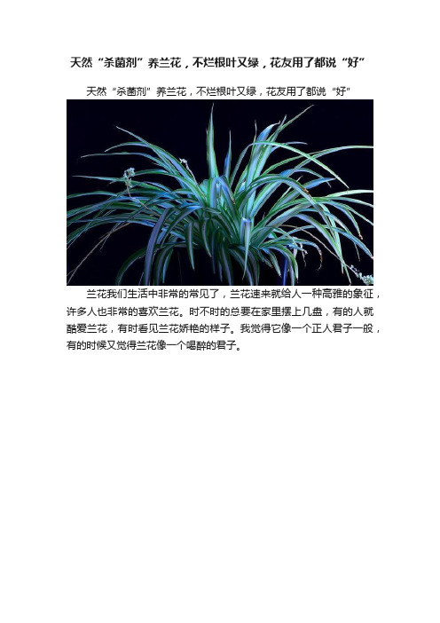 天然“杀菌剂”养兰花，不烂根叶又绿，花友用了都说“好”