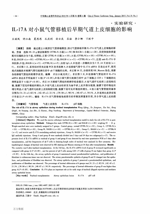 IL-17A对小鼠气管移植后早期气道上皮细胞的影响