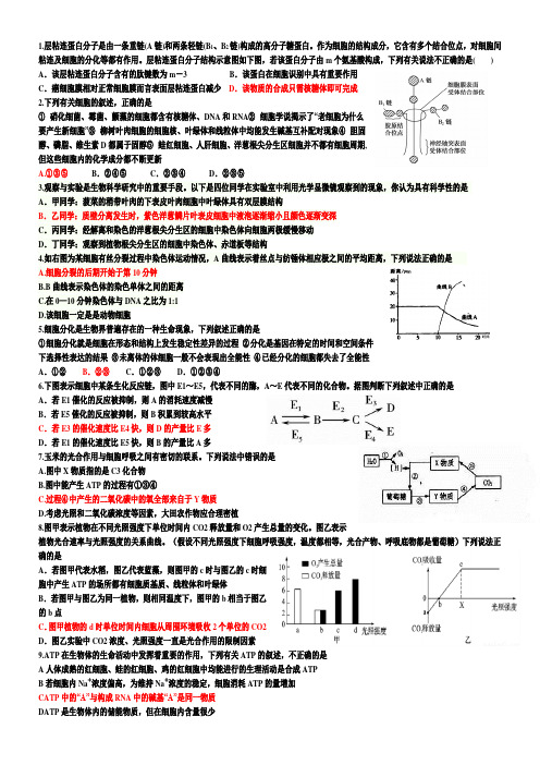 高一上学期期末考试模拟限时训练