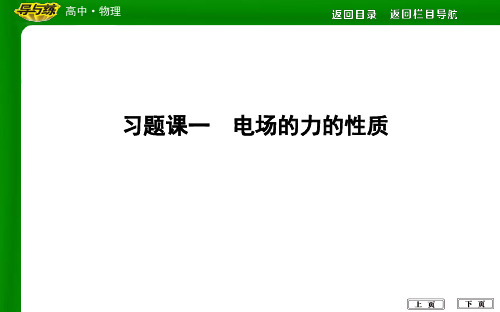 高二物理习题课一  电场的力的性质