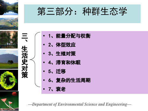 生活史对策