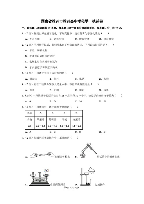 湖南省株洲市株洲县中考化学一模试卷