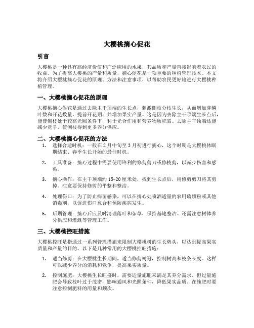 大樱桃摘心促花,大樱桃控旺措施,大樱桃种植管理技术