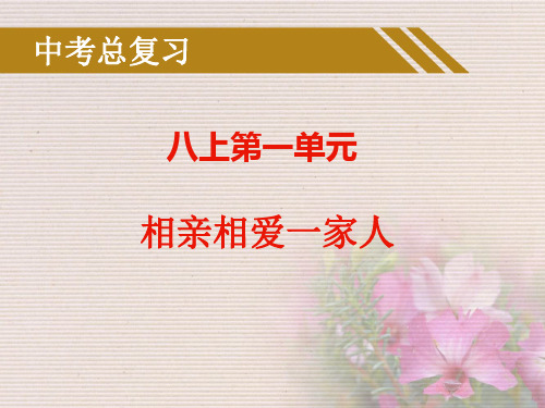 九年级中考政治中考总复习八上第一单元《相亲相爱一家人》课件人教版