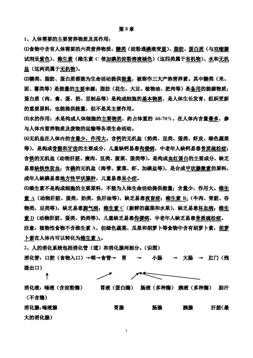 北师大版生物七年级下学期复习提纲