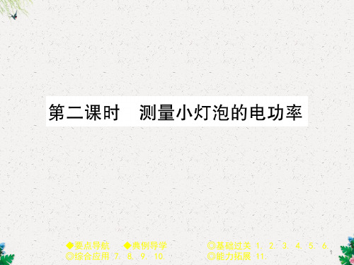 教科版九年级物理(全一册)课件：6.4 第二课时 测量小灯泡的电功率 (共29张PPT)