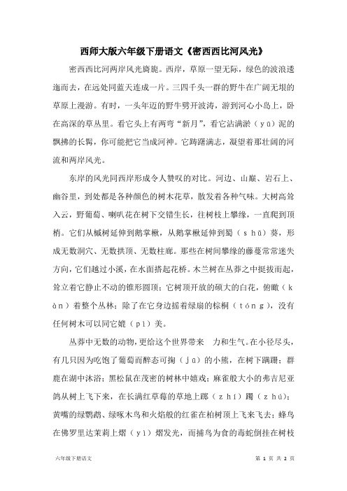 西师大版六年级下册语文《密西西比河风光》