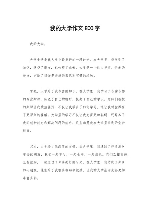 我的大学作文800字