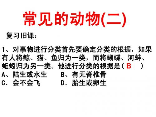 浙教版七年级科学上第二章2.4常见的动物(二)