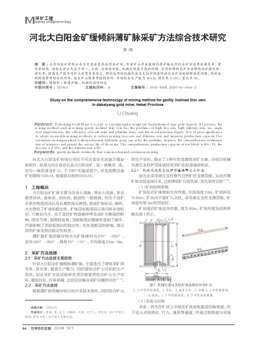 河北大白阳金矿缓倾斜薄矿脉采矿方法综合技术研究