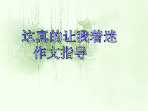 作文这真的让我着迷.ppt